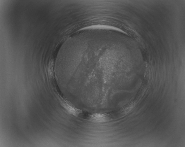 X0000083990189200702232121