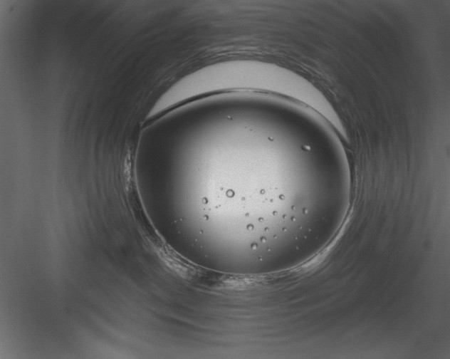 X0000083990190200702232121