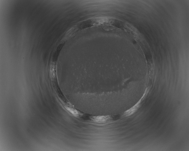 X0000083990191200702232121