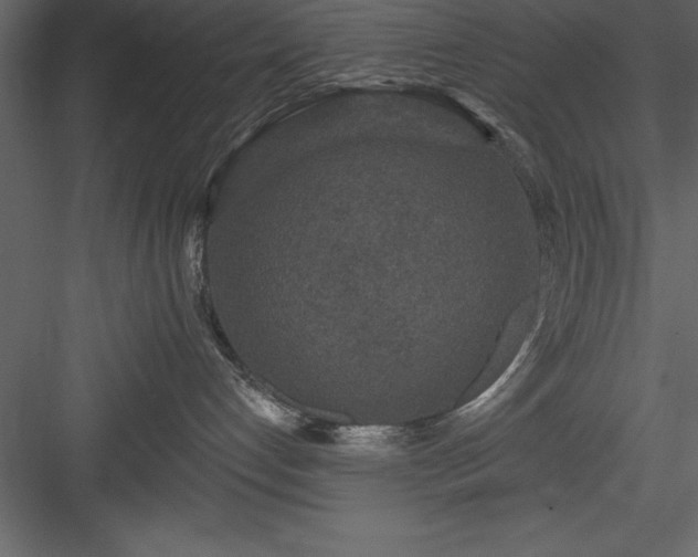 X0000083990192200702232121