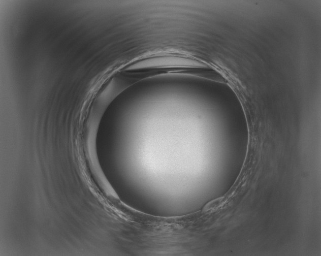 X0000083990193200702232120