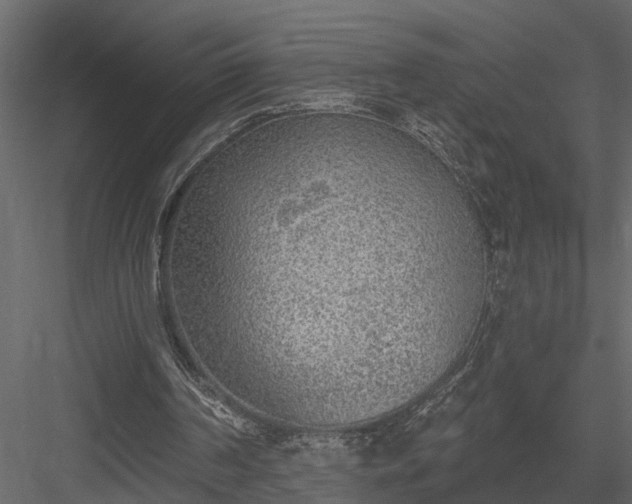 X0000083990194200702232120