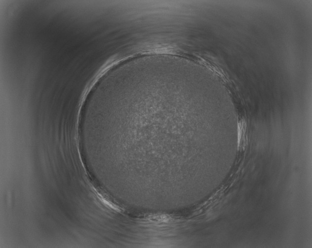 X0000083990195200702232120