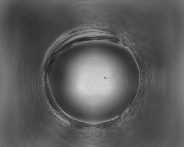 X0000083990197200702232120