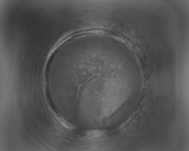 X0000083990198200702232120