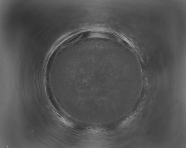 X0000083990199200702232120