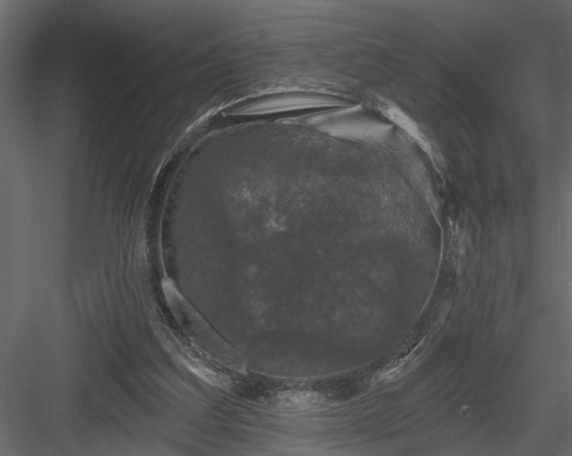 X0000083990203200702232120