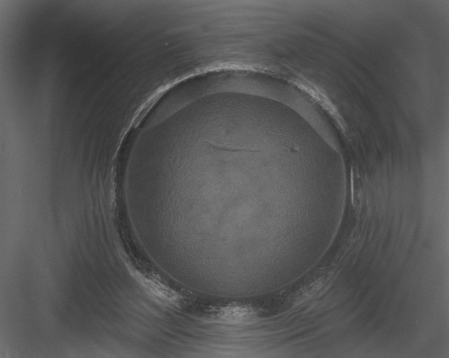 X0000083990204200702232120