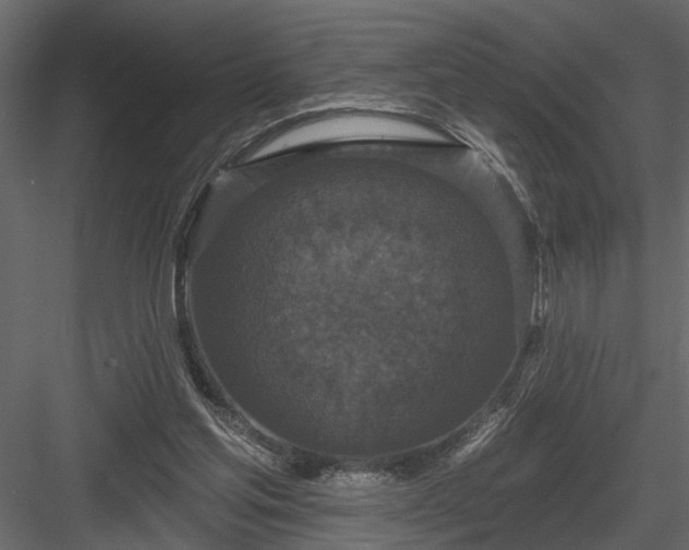 X0000083990205200702232120