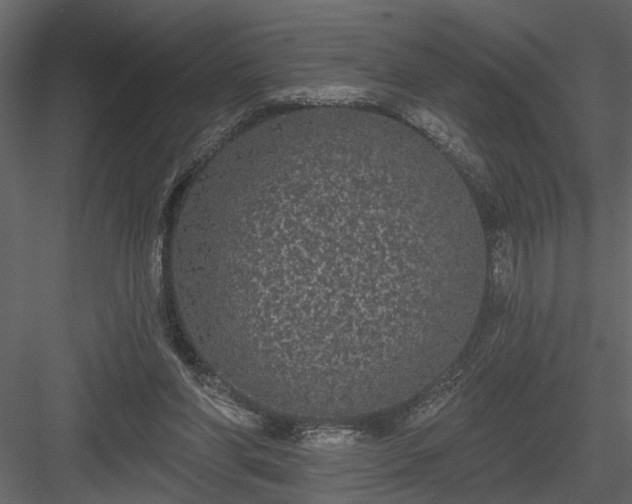 X0000083990206200702232120