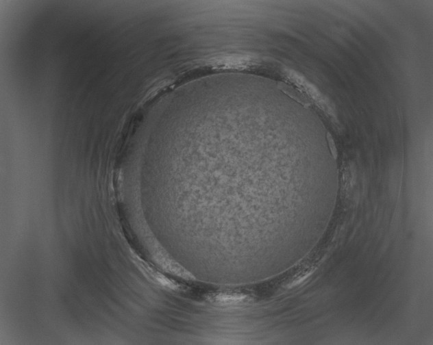 X0000083990209200702232120