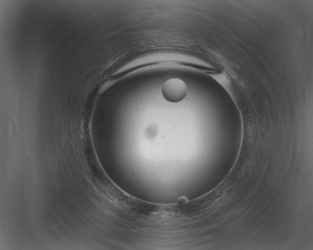 X0000083990211200702232120