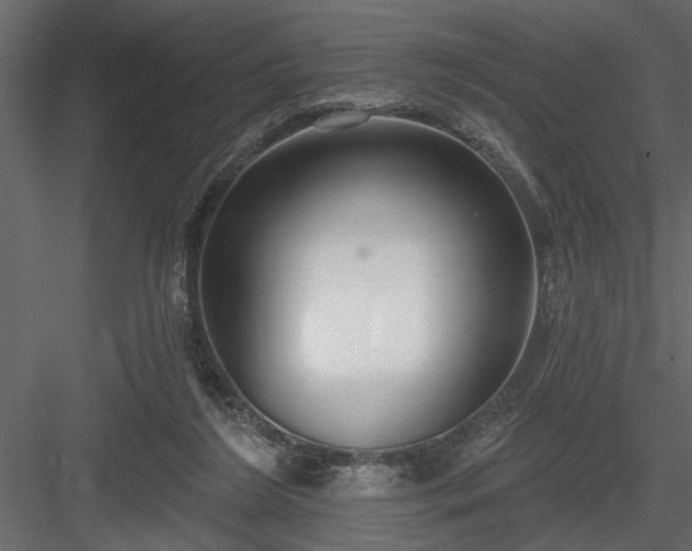 X0000083990212200702232120