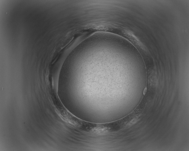 X0000083990213200702232120