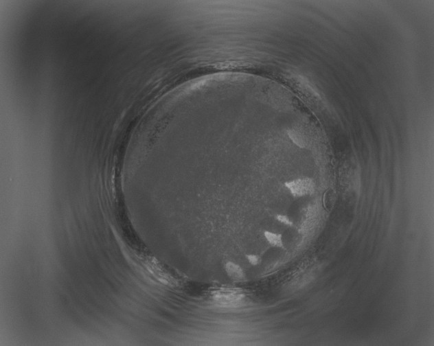 X0000083990214200702232120