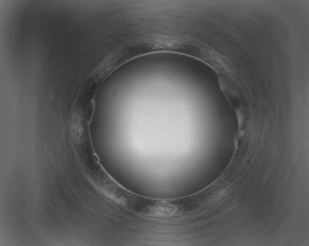 X0000083990215200702232120