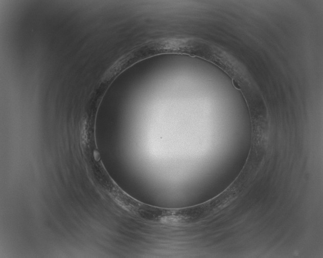 X0000083990216200702232120