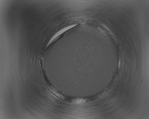 X0000083990217200702232120