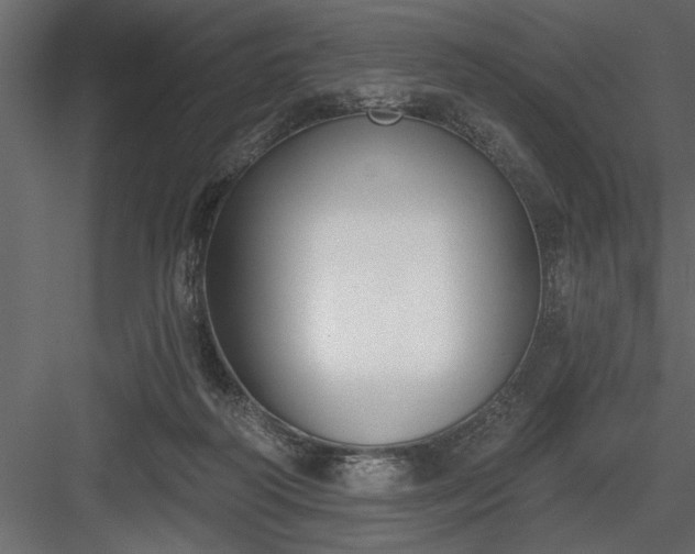 X0000083990218200702232120