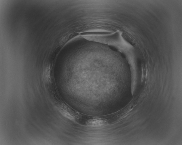 X0000083990219200702232120