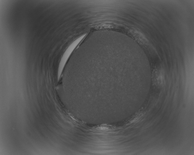 X0000083990224200702232119