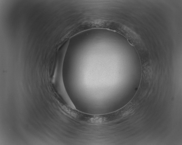 X0000083990225200702232119