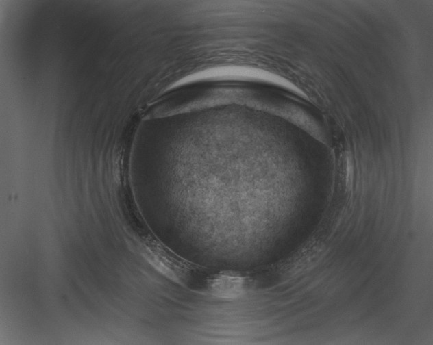 X0000083990227200702232119