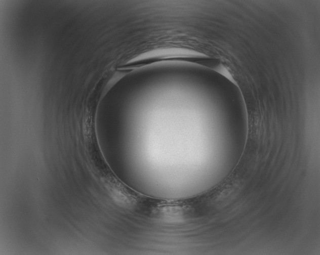 X0000083990228200702232119