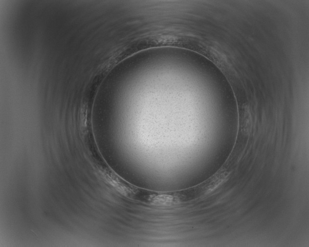 X0000083990230200702232119