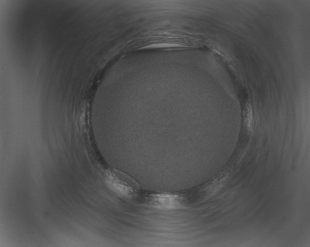 X0000083990233200702232119