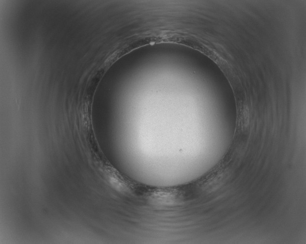 X0000083990236200702232119