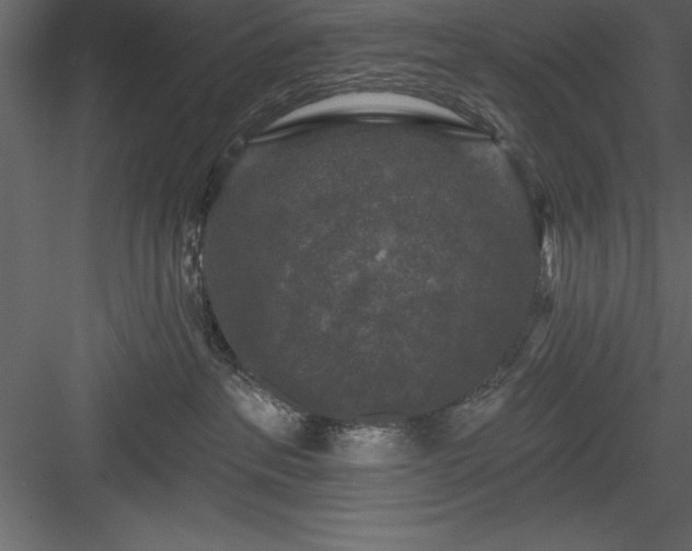 X0000083990237200702232119