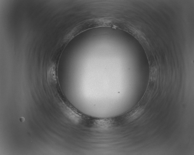 X0000083990238200702232119