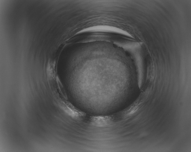 X0000083990239200702232119