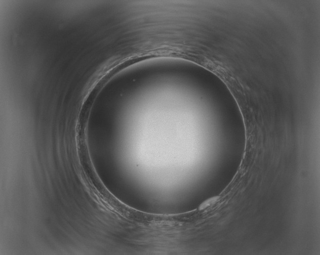 X0000083990242200702232118