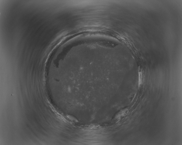 X0000083990243200702232118