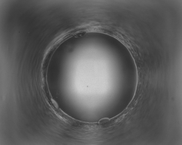 X0000083990245200702232118