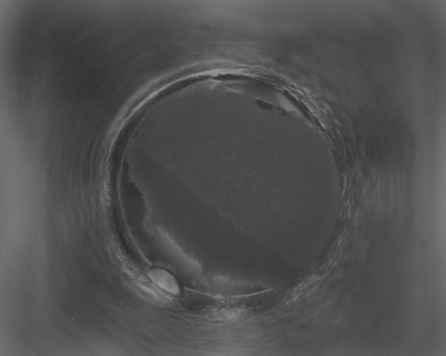 X0000083990247200702232118