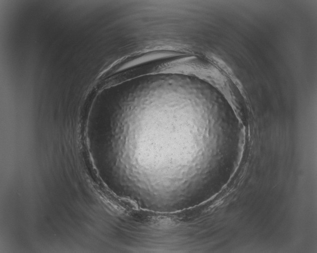 X0000083990249200702232118