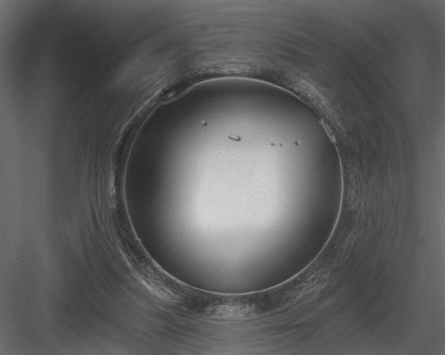 X0000083990251200702232119