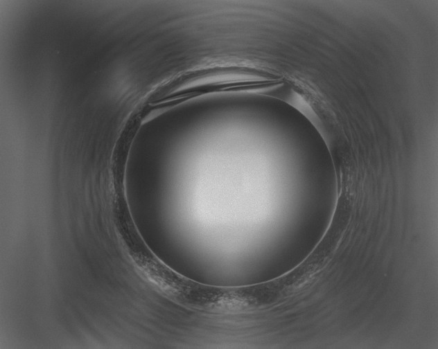 X0000083990256200702232119