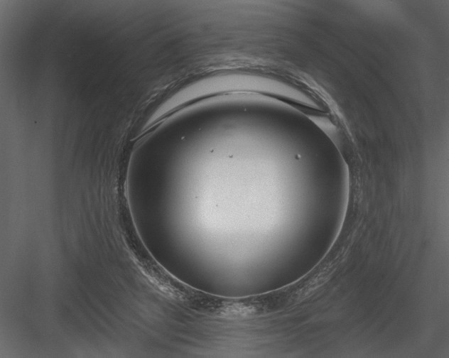 X0000083990257200702232119