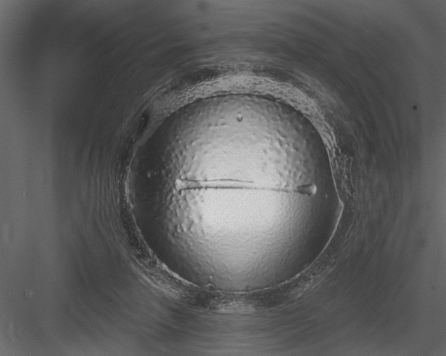 X0000083990258200702232119