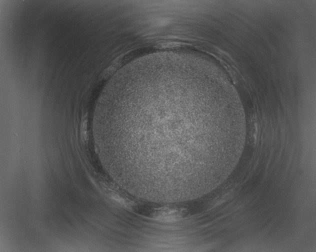 X0000083990267200702232119