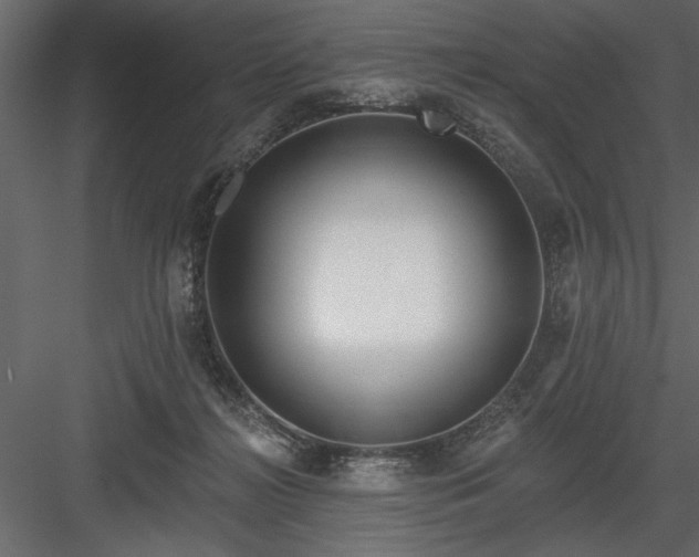 X0000083990268200702232119