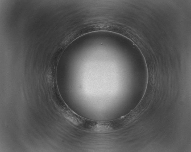 X0000083990270200702232119