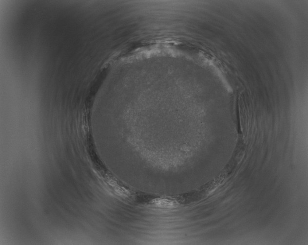 X0000083990272200702232119