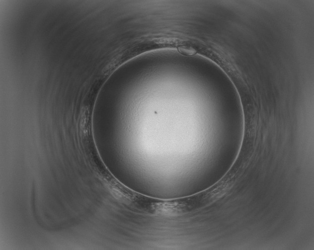 X0000083990273200702232119