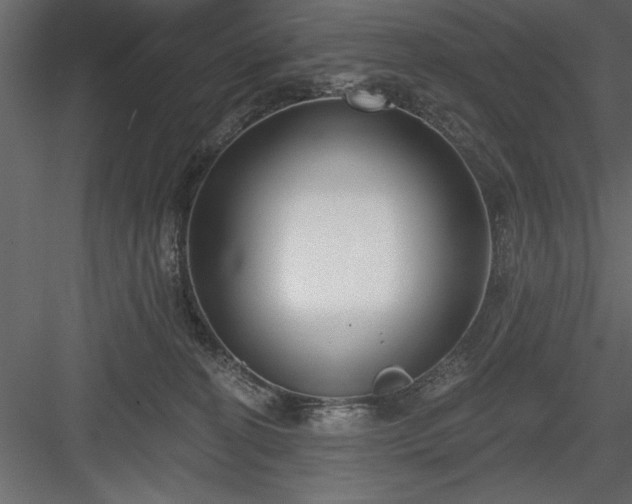 X0000083990274200702232119