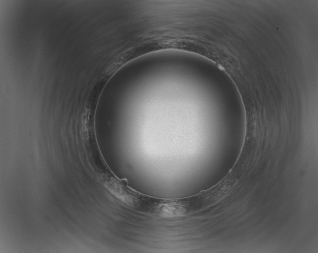 X0000083990275200702232119